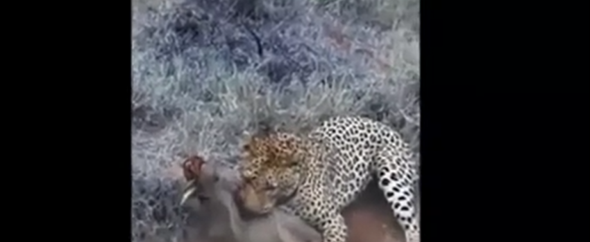 Screenshot 2016-04-20 06.51.20