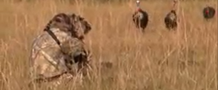 Screenshot 2016-04-21 04.22.58