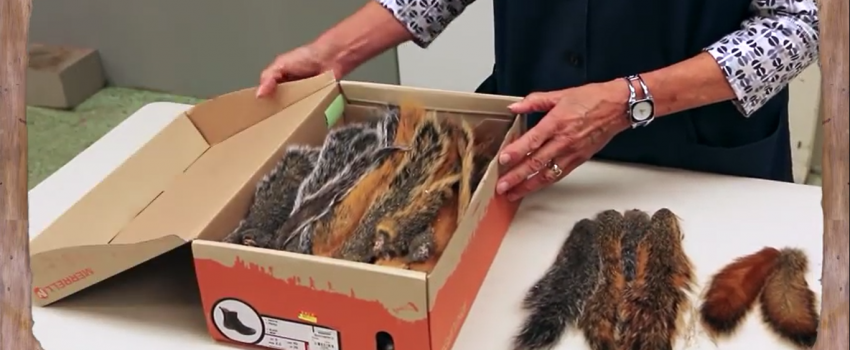 Screenshot 2016-07-18 05.00.45