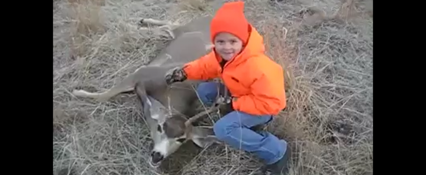 Screenshot 2016-08-06 06.11.47