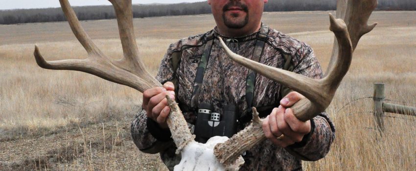 European mounts can preserve the memory at a fraction of the cost of a shoulder mount.