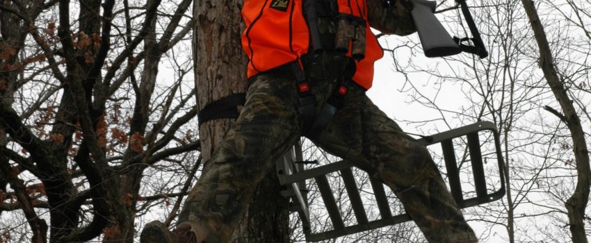 Squirrel Turkey Heartland Ranch 246