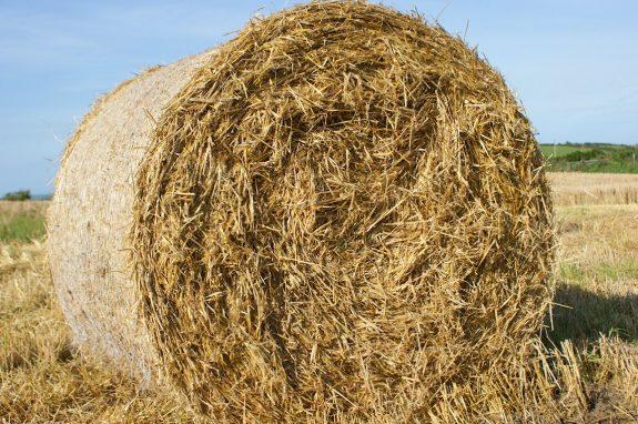 Straw-Bales