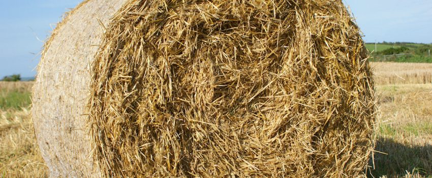 Straw-Bales