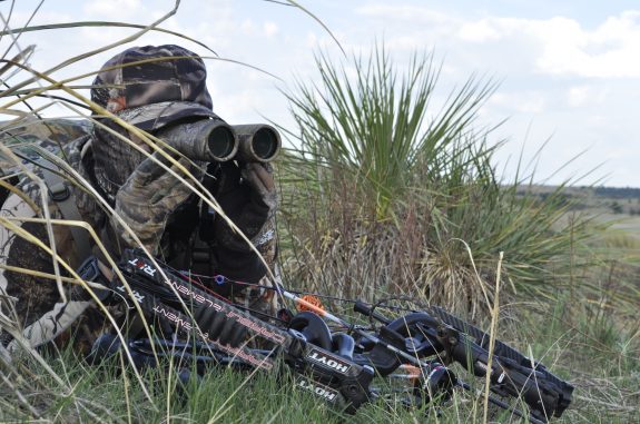 Turkey Taught Deer Skills  (13)