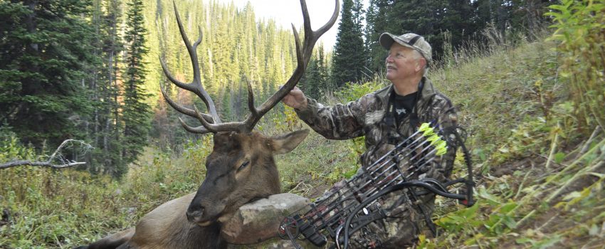 WY Elk 2012 024