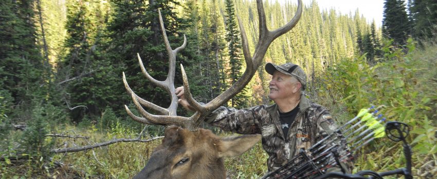 The author took this 5x5 bull on an unguided Wyoming bowhunt.