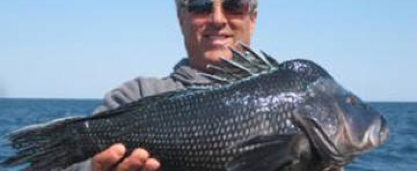 anglerbsb Photo by New York Department of Environmental Conservation