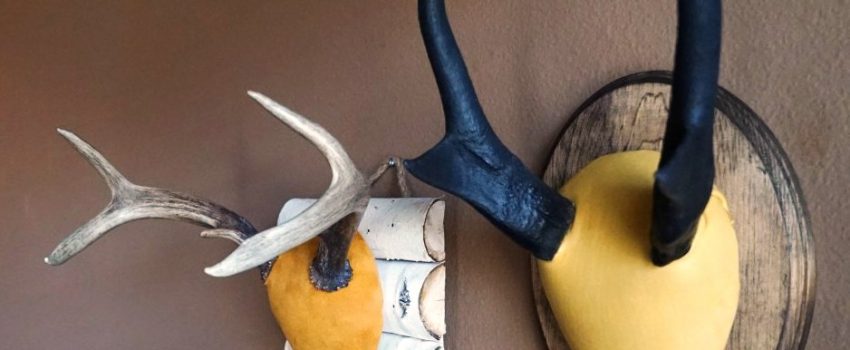 These handsome displays can be made inexpensively.