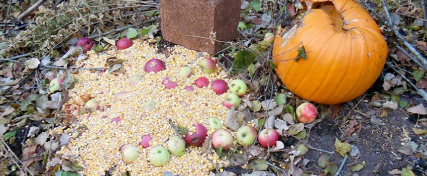 baitingsubmittedBAIT1115c1