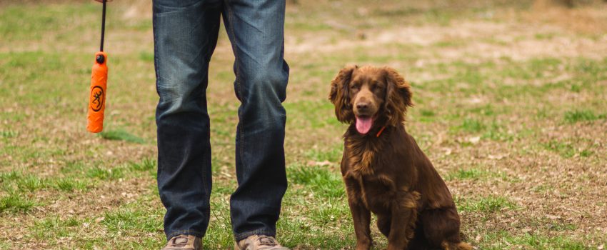 View More: http://howardcommunications.pass.us/hcphotolibrary