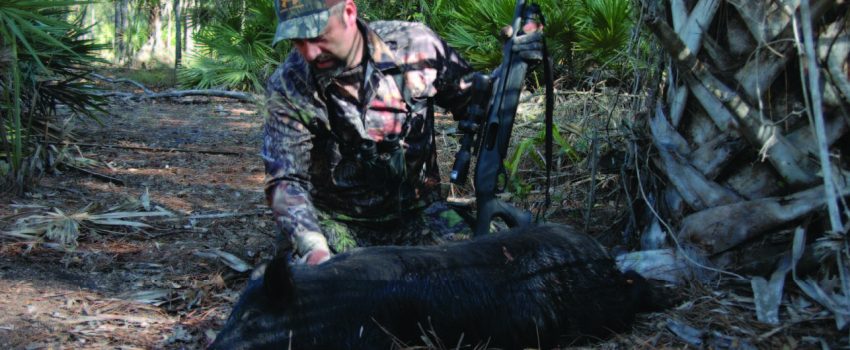 Wild hogs and coyote populations continue to grow providing exciting, off-season hunting.