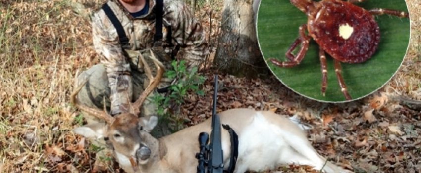 josh_gamblin_-_01_574_392_s[1]