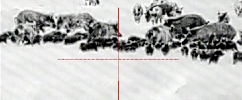 103991