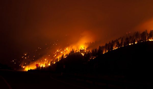 Forest fires not only close much public land to hunting, but the fire-fighting efforts greatly disrupt normal game movements.