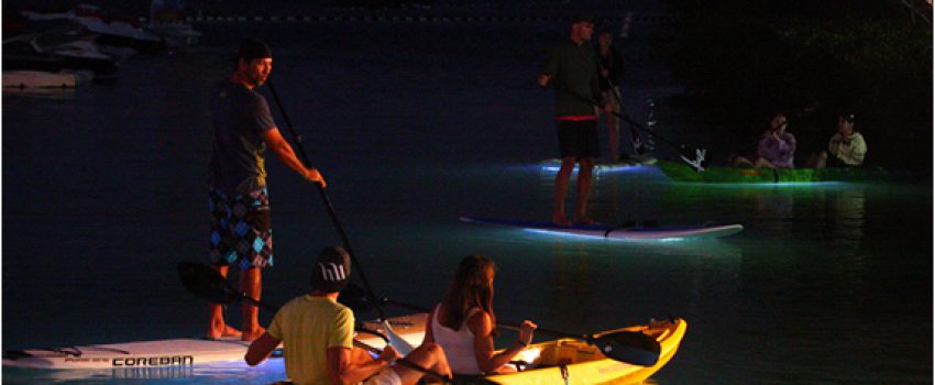 nocqua-2000-board-led-lights-2