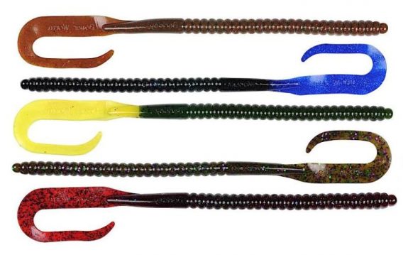 power-worm Photo by Fishhound.com