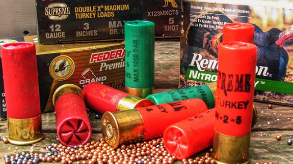 shotshells1526357