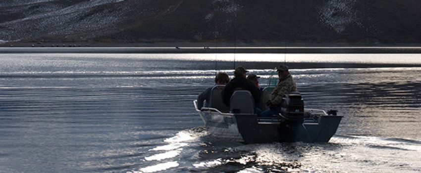 topaz_010110_0028 Photo by Nevada Department of Wildlife