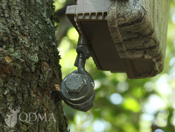 trailDIY-trail-cam-mount-lead