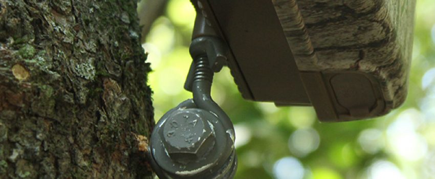 trailDIY-trail-cam-mount-lead