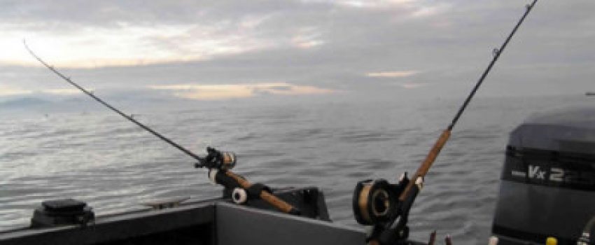 troll4-Phot-o-by-Washington-Department-of-Fish-and-Wildlife-e1384482419365