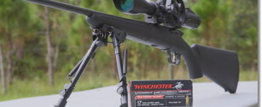 winchester-17-wmr-rimfire-savage-bench[1]